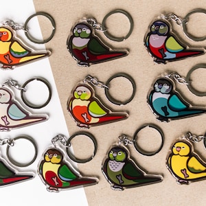 May include: Ten colorful parakeet keychains with silver key rings. The parakeets are all different colors and have different patterns. They are all facing the right side of the image.