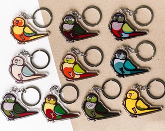 Conure Acrylic Keychains, pick your conure! - acrylic parrot keychains, epoxy front keychains, cute parrot themed gift