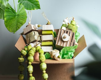 Botany Birb Box - Caja de 5 juguetes para pájaros pequeños y medianos