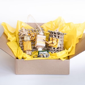 Caja para cacatúas: ¡Caja con 4 juguetes colgantes, minipegatina de vinilo y llavero acrílico! Juguetes para pájaros pequeños, juguetes de madera sola y de balsa.