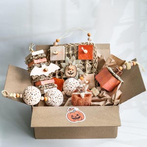 May include: A brown cardboard box filled with Halloween-themed decorations. The box contains wooden bat and pumpkin shapes, decorative balls, and a woven wall hanging. A pumpkin sticker is on the box. The decorations are in shades of orange, brown, and beige.