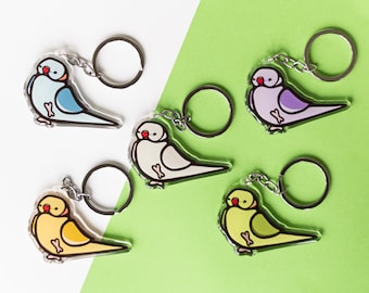 Indian Ringneck Acrylic Keychains, pick your parakeet! - custom parrot keychains, cute acrylic keychains, parrot accessories