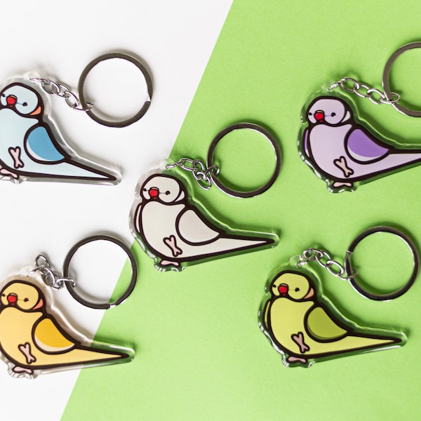 Indian Ringneck Acrylic Keychains, pick your parakeet! - custom parrot keychains, cute acrylic keychains, parrot accessories