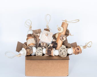 Birb Box aus Mahagoni! - Box mit 4 Hängespielzeugen für kleine und mittlere Vögel, Vogelspielzeug aus Solaholz, Spielzeug aus Mahagoni, Wellensittich- und Nymphensittich-Spielzeug