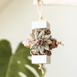 Sea Star - natural hanging bird toy for cockatiels, conures, budgies, small & medium parrots, balsa wood toy