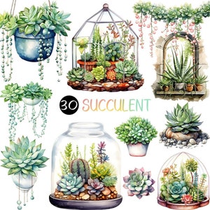 Cactus y suculentas de acuarela vibrantes / Cactus PNG Clip Art botánico Planta fresca Vid Maceta de piedra Botella de vidrio Marco de acero Jardín