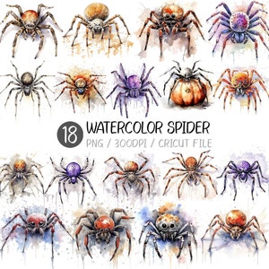 Ragno PNG / Halloween Tarantola Acquerello Clip Art Insetto Animale Zucca Jack O Lantern Illustrazione Design Vintage Viola Arancione