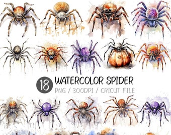 Watercolor Spider PNG | halloween, Tarantula, pumpkin, antique, vintage, clip art, design, illustration, cricut, cute, sublimation