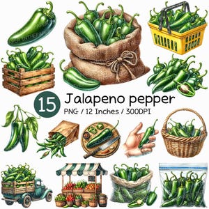 May include: A collection of illustrations featuring green jalapeño peppers in various arrangements. The images include peppers in a burlap sack, wooden crate, basket, and a market stall. The text reads "15 Jalapeno pepper PNG / 12 Inches / 300DPI."