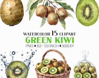 Green Kiwi PNG | Watercolor Fruit Sweet Juicy Summer Fresh Produce Harvest Farm Garden Plant Slice Tree Tropical Cut Basket Clipart