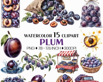 Plum PNG | Watercolor Fruit Clipart Purple Violet Slices Whole Baskets Plastic Cup Sack Wooden Crate Truck Market Stall Illustration Art