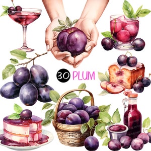 Plum PNG | Akwarela Clip Art Derived Delights Owoce Świeży Deser Syrop Koszyk Napój Koktajl Dżem Ciasto Funtowe Mus śliwkowy Słodycze Ręka Jedzenie