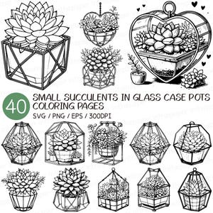 May include: A set of 40 black and white coloring pages featuring succulents in glass case pots. The pages are perfect for adults and children who enjoy coloring.