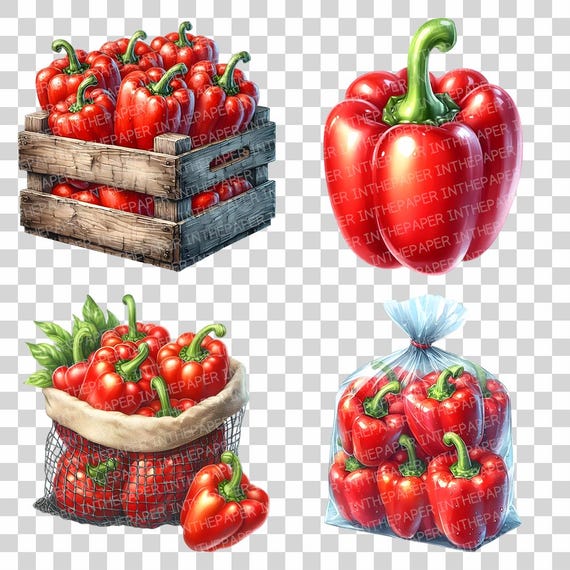 赤ピーマン | 水彩画、野菜、新鮮なオーガニック、チリ、パプリカ