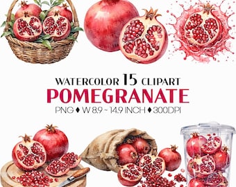Pomegranate PNG | Watercolor Fruit Clipart Red Reddish Pink Slices Whole Baskets Plastic Cup Sack Wooden Crate Truck Market Stall Illust