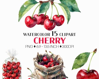 Cherry PNG | Watercolor Fruit Sweet Juicy Summer Fresh Produce Harvest Farm Garden Plant Whole Half Slice Cut Cube Basket Truck Clipart