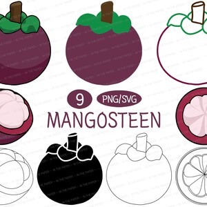 Könnte beinhalten: Digitale Illustration mit neun Mangostan-Designs. Die Bilder zeigen ganze Früchte, Querschnitte und Umrisse. Die Farbpalette besteht aus Lila, Grün und Weiß. Der Text lautet "9 PNG/SVG MANGOSTEEN".