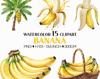 Banana PNG | Watercolor Fruit Sweet Juicy Summer Fresh Produce Harvest Farm Garden Plant Slice Tree Tropical Cut Basket Cavendish Clipart