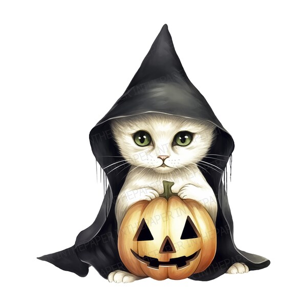 Spooky Halloween Kitten with Black Cape on Jack O Lantern PNG | Halloween, Pumpkin, Witch Hat, Cat, Spooky, Black Costume, Pet, Cute, Feline