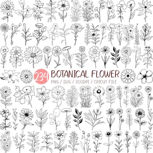 234 Svg fleur botanique | Fleurs sauvages Rose pavot pissenlit dessin au trait Bouquet fleur floral mauvaise herbe lys Doodle Floral Clipart PNG contour