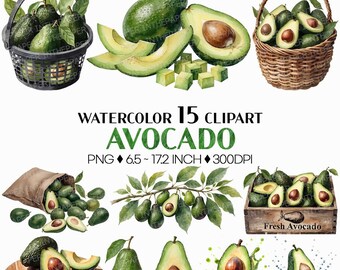 Avocado PNG | Watercolor Fruit Sweet Juicy Summer Fresh Produce Harvest Farm Garden Plant Whole Half Slice Cut Cube Basket Truck Clipart