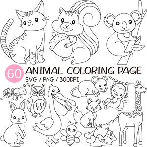 Könnte beinhalten: Ein Set mit 60 Schwarzweiß-Tierillustrationen zum Ausmalen. Die Tiere umfassen eine Katze, ein Eichhörnchen, einen Koala, eine Ameise, eine Eule, einen Pelikan, ein Kaninchen, eine Biene, eine Maus, einen Fuchs, einen Affen und eine Giraffe. Der Text "60 ANIMAL COLORING PAGE SVG / PNG / 300DPI" befindet sich oben im Bild.