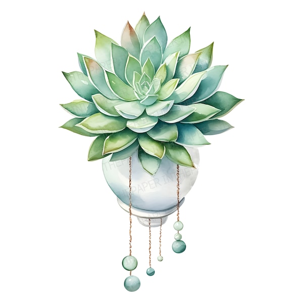 Elegant Succulent and White Pots PNG | Watercolor Painting Green Cactus Vine Clip art Cacti Botanical Terrarium Nature Indoor Plant Flower