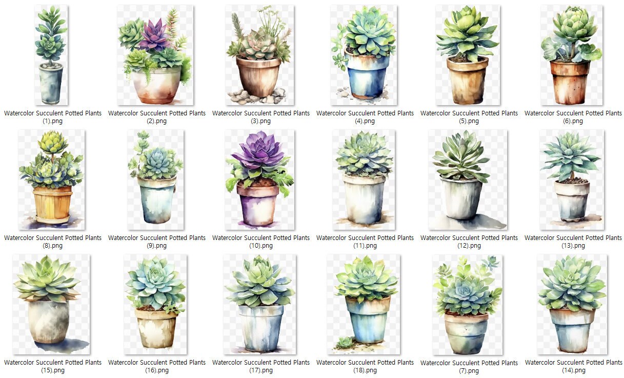 Watercolor Succulent Potted Plants PNG | Greenery Clipart Cactus Aloe ...
