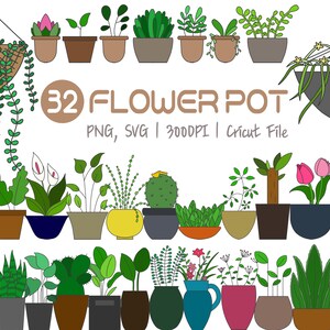 Flower Pot | Cactus Orchid Clipart floral hanging plant wild flower succulent sprout Sansevieria ceramic House Gardening Cute PNG SVG Vector