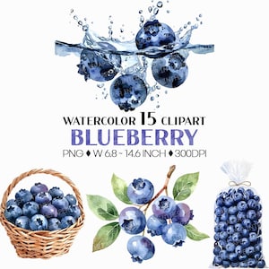 May include: Watercolor clipart featuring blueberries in various arrangements. Includes blueberries splashing in water, in a basket, on a branch, and in a bag. The text reads "WATERCOLOR 15 CLIPART BLUEBERRY PNG W 6.8 ~ 14.6 INCH 300DPI".