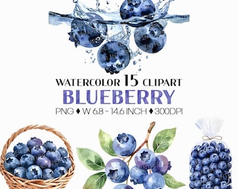 Blueberry PNG | Watercolor Fruit Sweet Juicy Summer Fresh Produce Harvest Farm Garden Plant Whole Half Slice Cut Cube Basket Clipart