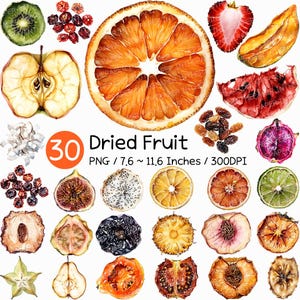 May include: A watercolor illustration of various dried fruits, including orange slices, kiwi, apple, and figs. The image also features the text "30 Dried Fruit" and dimensions of 7.6 to 11.6 inches.
