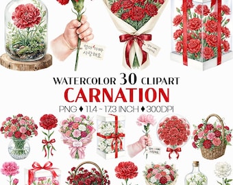 Watercolor Carnation | PNG Clipart Floral Bundle Red Pink White Flowers Mothers Day Teacher Wedding Bouquet Vase Glass Bottle Basket Hand