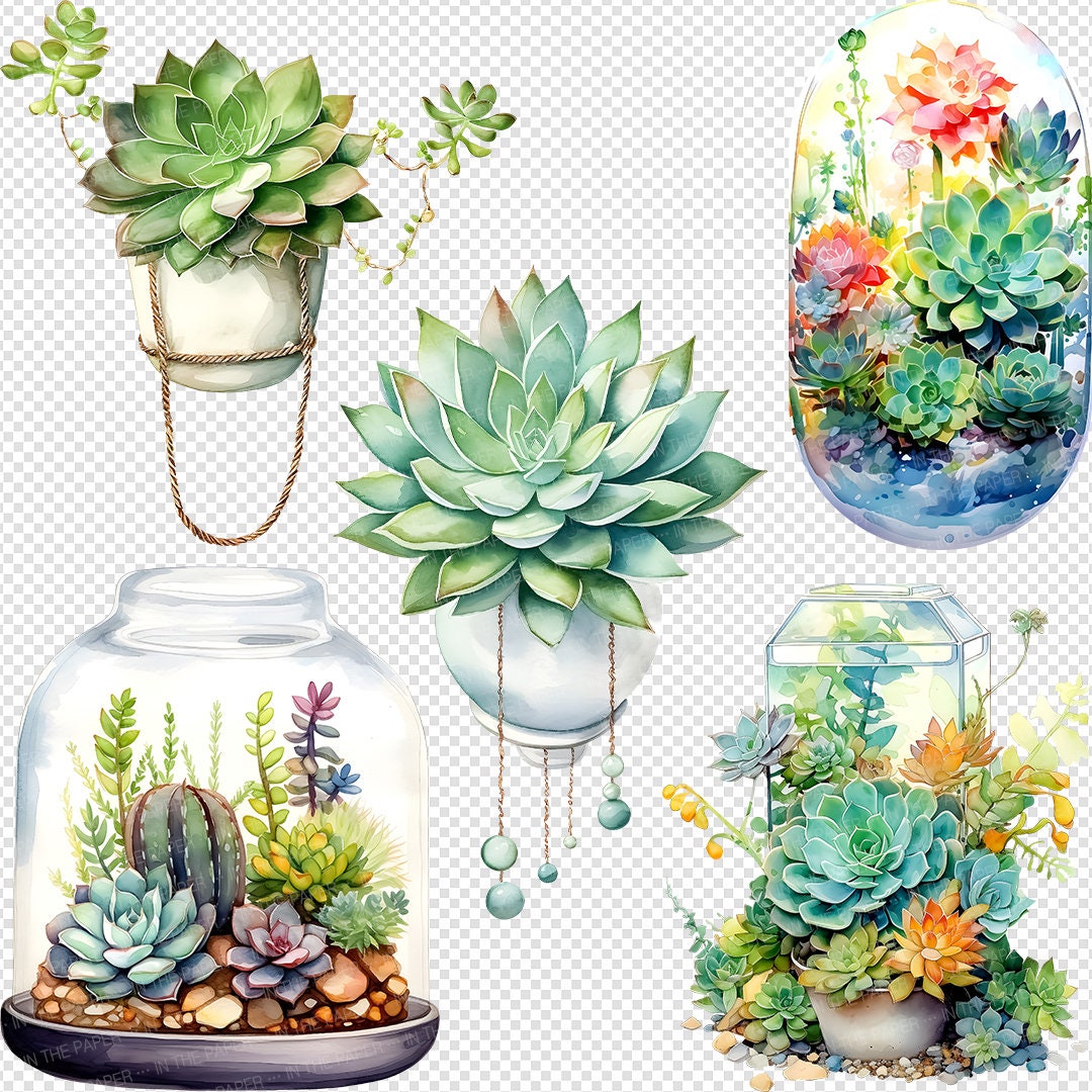 Vibrant Watercolor Cacti and Succulents | Cactus PNG Botanical Clip Art ...
