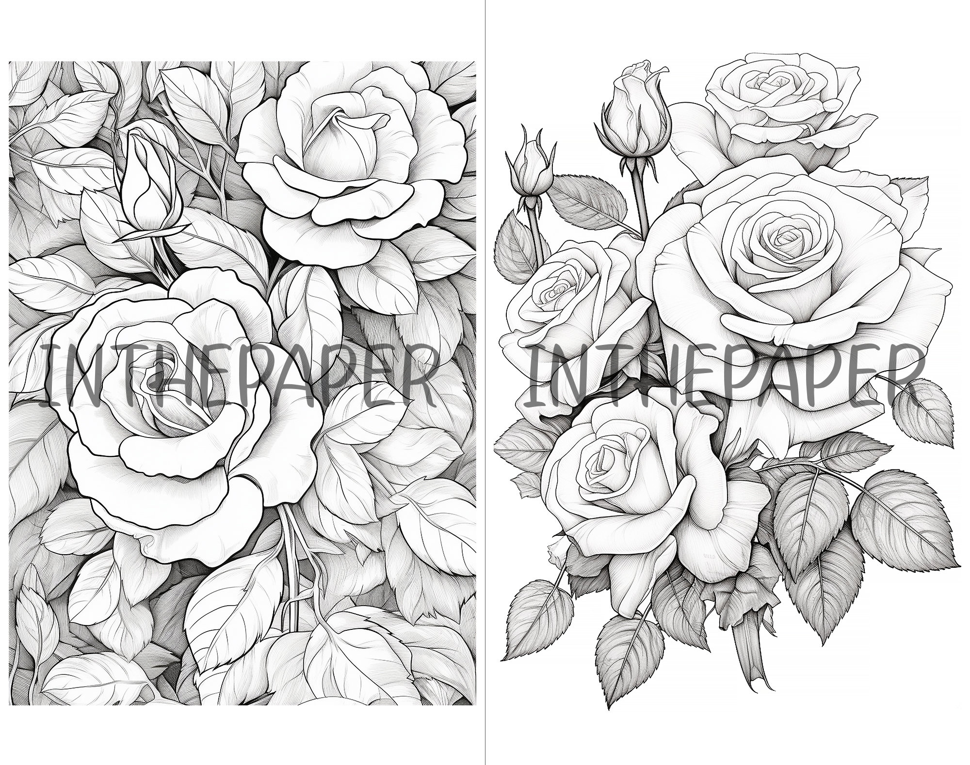 Rose Coloring Page | Digital Prints, Printable, Coloring Book for Adult ...