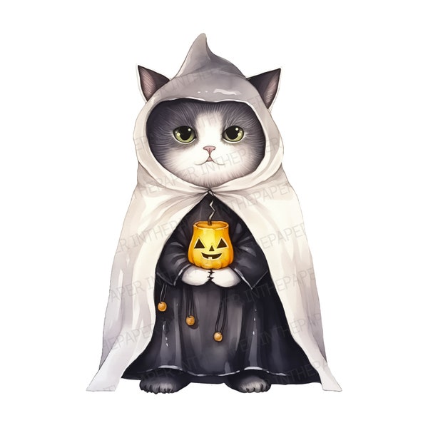 Chubby Gray Cat in Witchy Attire PNG | Watercolor, Halloween Feline Art, Witch Hat, Jack O lantern, Pumpkin, Whimsical, Spooky, Portrait