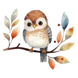 Gufo carino in autunno PNG / Acquerello, Illustrazione, foglie autunnali, Atmosfere autunnali, ramo di albero, arredamento per la cameretta dei bambini, adorabile, foglie cadute, uccello