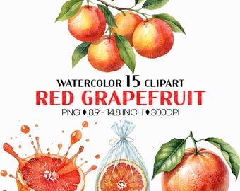 Red Grapefruit PNG | Watercolor Fruit Sweet Juicy Summer Fresh Produce Harvest Farm Garden Plant Slice Tree Tropical Cut Basket Clipart