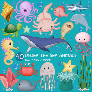 Unter den Meerestieren PNG | Süßer Fisch SVG Clipart Buckelwal Delphin Axolotl Einsiedlerkrebs Qualle Algen Kraken Seepferdchenhai Schildkröte