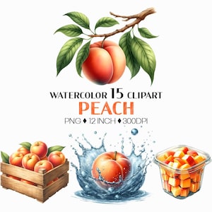 桃 PNG | 水彩画 フルーツ 甘くてジューシー 夏 新鮮な農産物 収穫 農場 庭 植物 丸ごと 半分 スライス カット キューブ バスケット トラック クリップアート