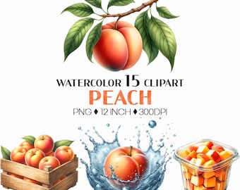 Peach PNG | Watercolor Fruit Sweet Juicy Summer Fresh Produce