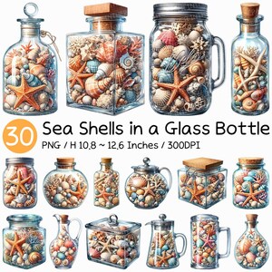Conchiglie di mare acquerellate in una bottiglia di vetro / Clipart oceano estivo Decorazione nautica Stella marina Lumaca Corallo Ciottoli Barattolo Becher Coperchio di sughero PNG