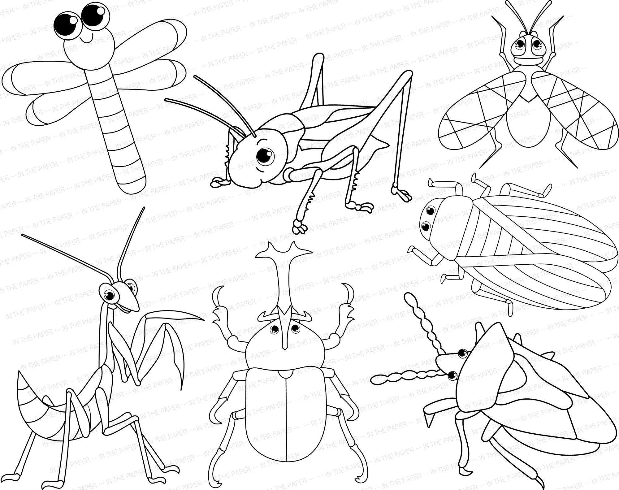 Insect Coloring Pages | Bug SVG PNG Cute for Kids Worm Butterfly Cicada ...