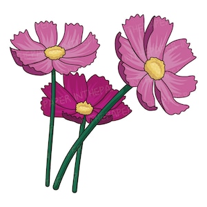 Drie kosmosbloemen met gele meeldraden en roze bloemblaadjes | SVG PNG EPS-clipart een paarse plant illustratie ontwerp hand tekenen schattig kawaii