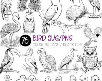Página para colorear de aves SVG/PNG Libro para niños Actividad para adultos Línea negra Águila Pavo real Pingüino Flamenco Colibrí Búho Cisne Loro Tucán Gorrión