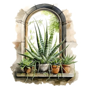 Trío de cactus y suculentas en ventana de ladrillo arqueada PNG / Acuarela Clip art Cactus Botánico Terrario Pintura Naturaleza Planta de interior Jardín