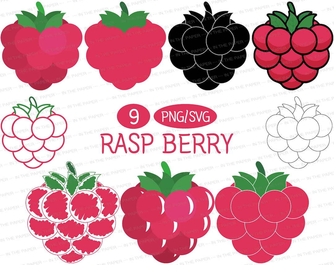 Raspberry SVG | PNG Tropical Fruit Clip Art Food Slice Half Piece Black ...