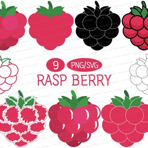 May include: Nine digital illustrations of raspberries in various colors and styles. The illustrations include red, pink, black, white, and outline styles. The text "9 PNG/SVG RASPBERRY" is included in the image.
