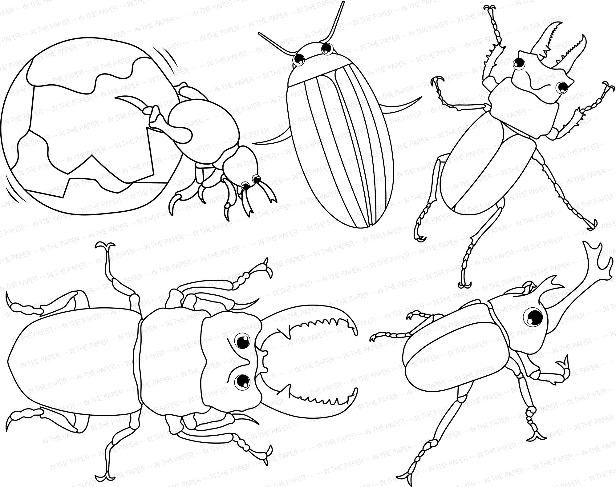 Insect Coloring Pages | Bug SVG PNG Cute for Kids Worm Butterfly Cicada ...