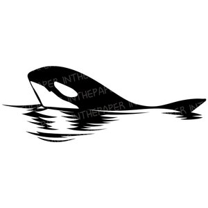 Orca sacando la cara del agua del mar / ballena clipart silueta negra ilustración ola delfín bajo el mar pez SVG PNG EPS